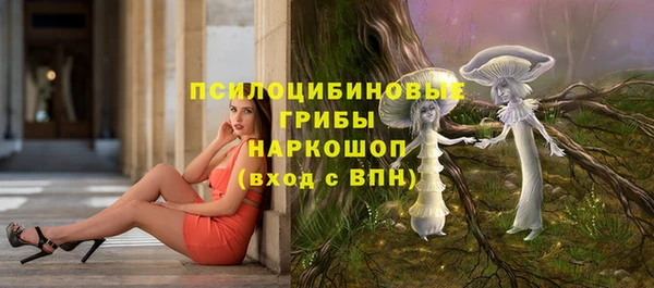 спайс Великий Новгород