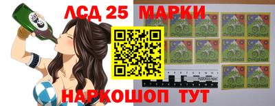 индика Балахна