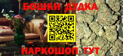 индика Балахна