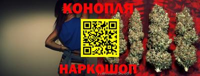 индика Балахна
