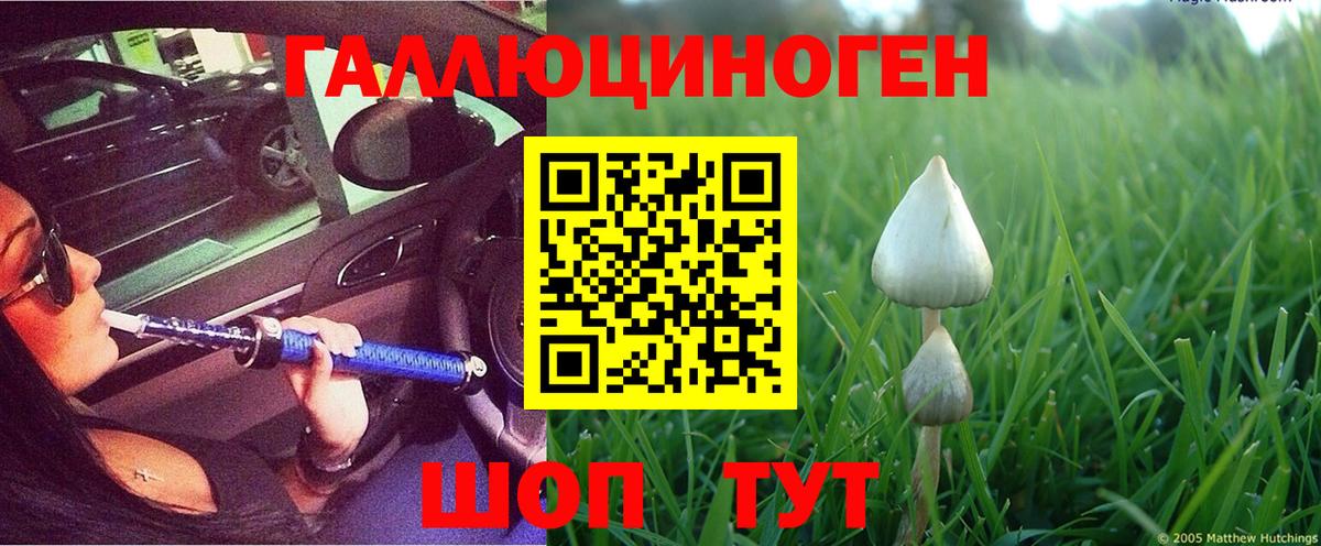 Беслан  Галлюциногенные грибы Magic Shrooms  Вход с VPN 